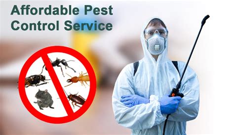 affordable bug control service in my area